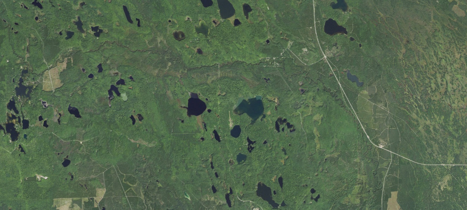 Map of Bass Lake Campsite