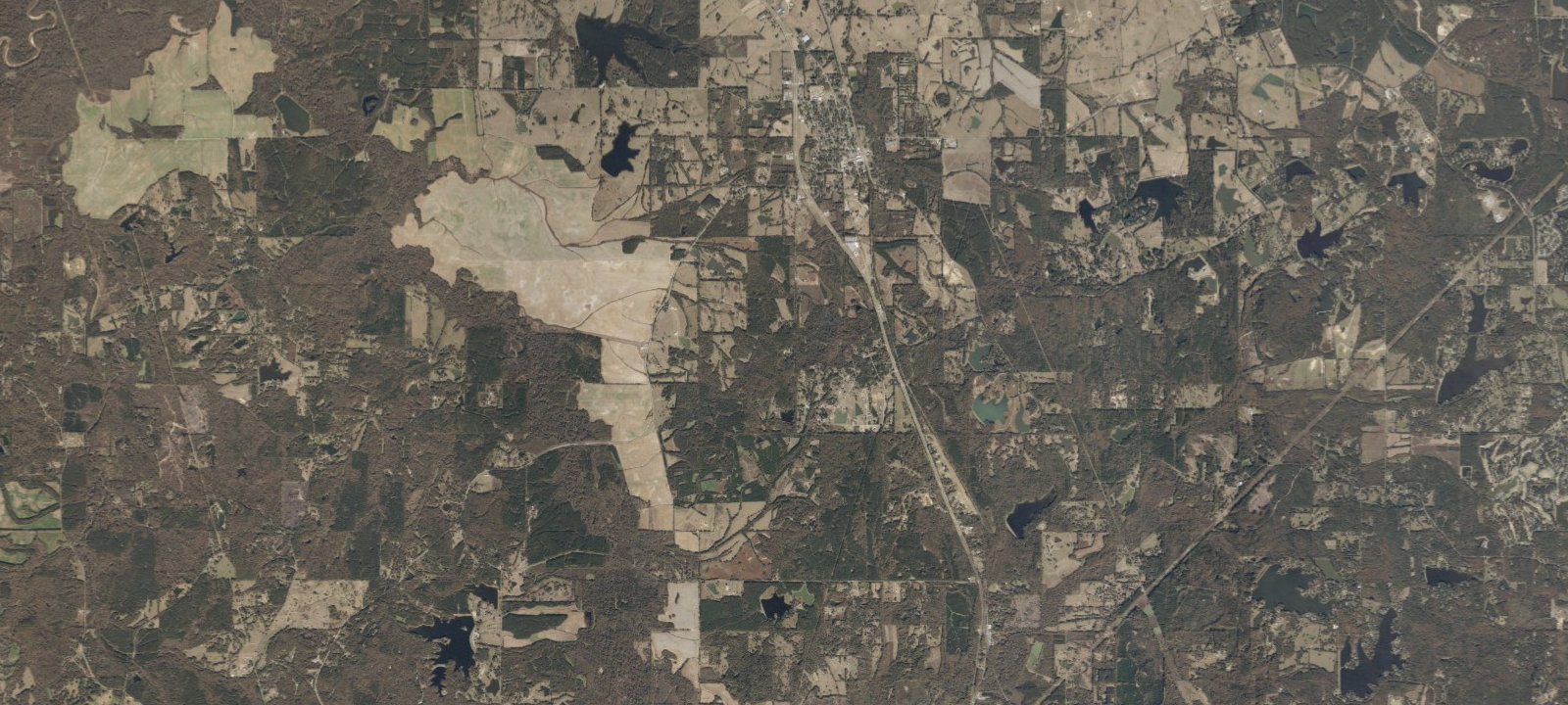 Map of Mississippi Petrified Forest