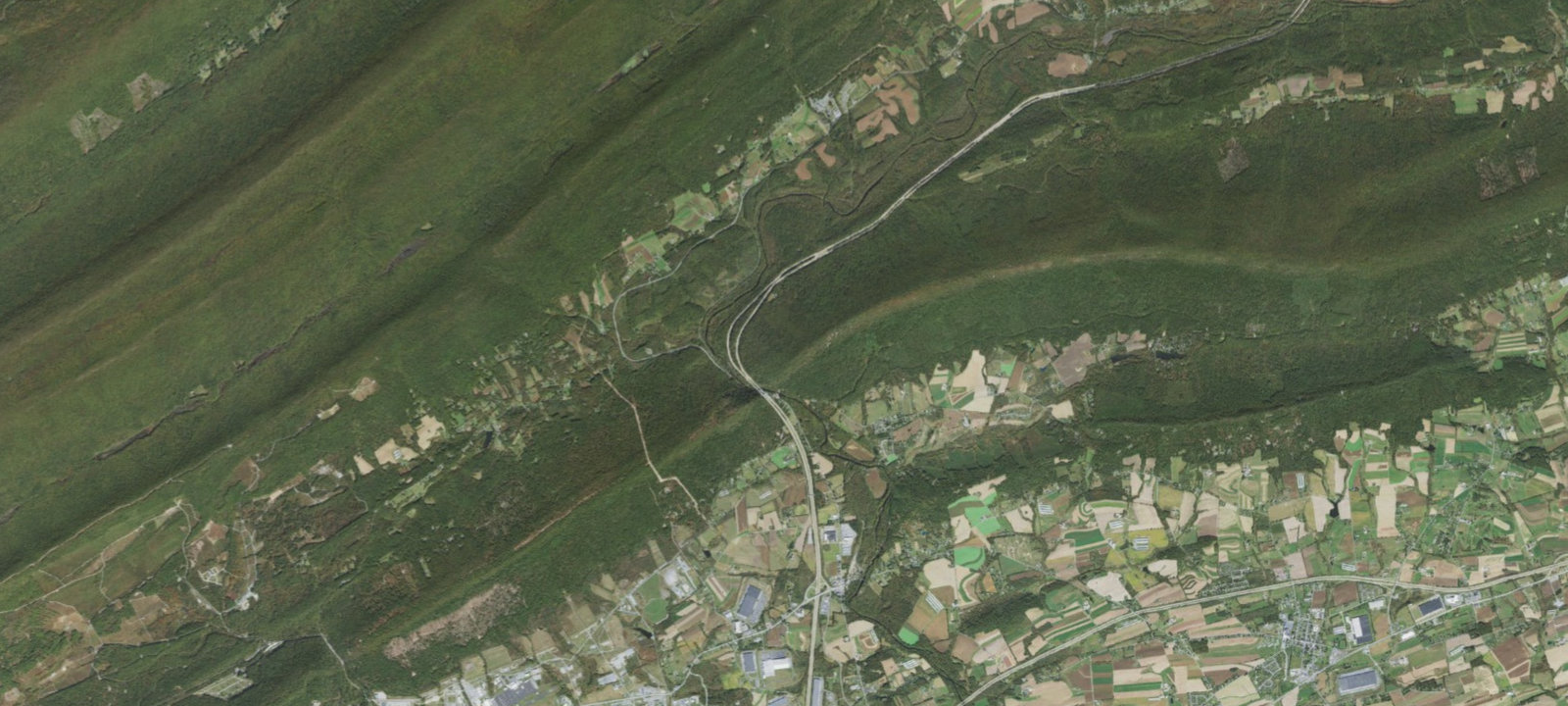 Map of Forest campsite (no water)