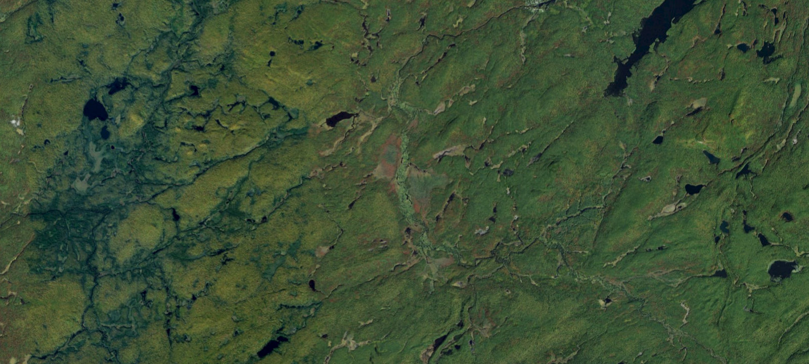 Map of Oswegatchie River #40 Campsite