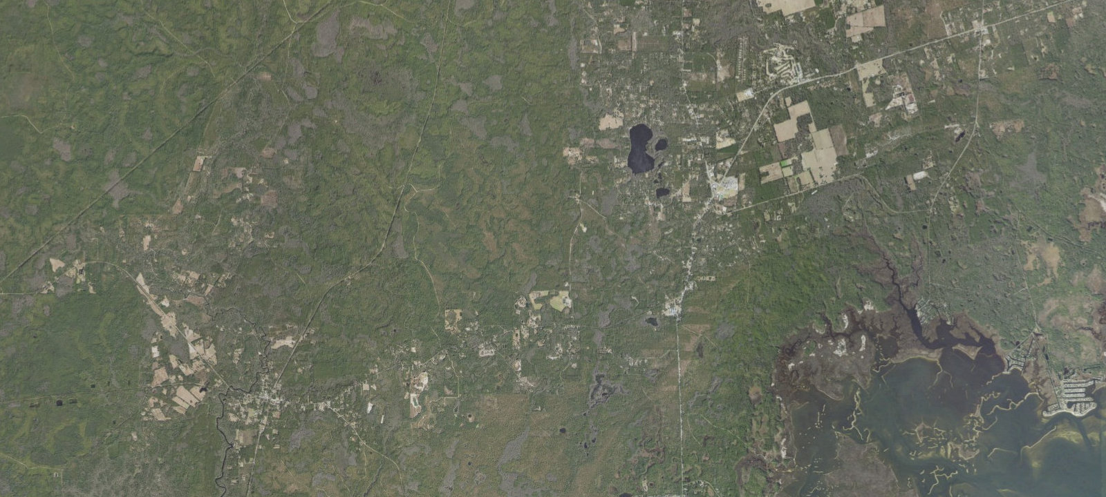 Map of Bent Sapling Camp