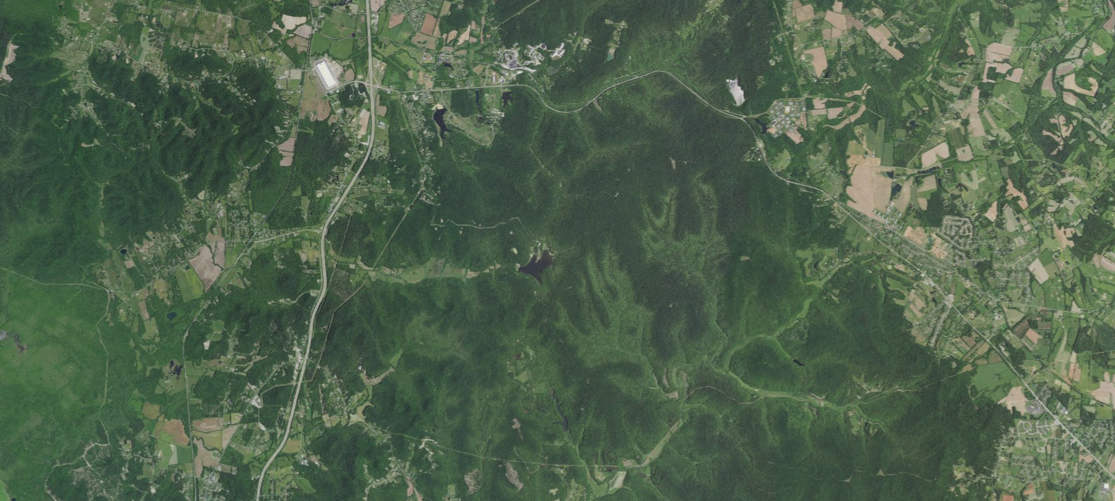 Map of Site 8