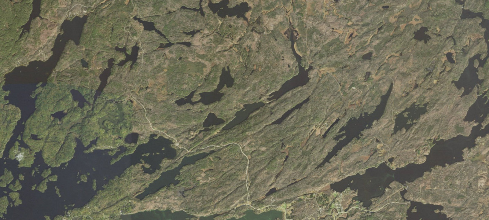 Map of Bass Lake Site 3