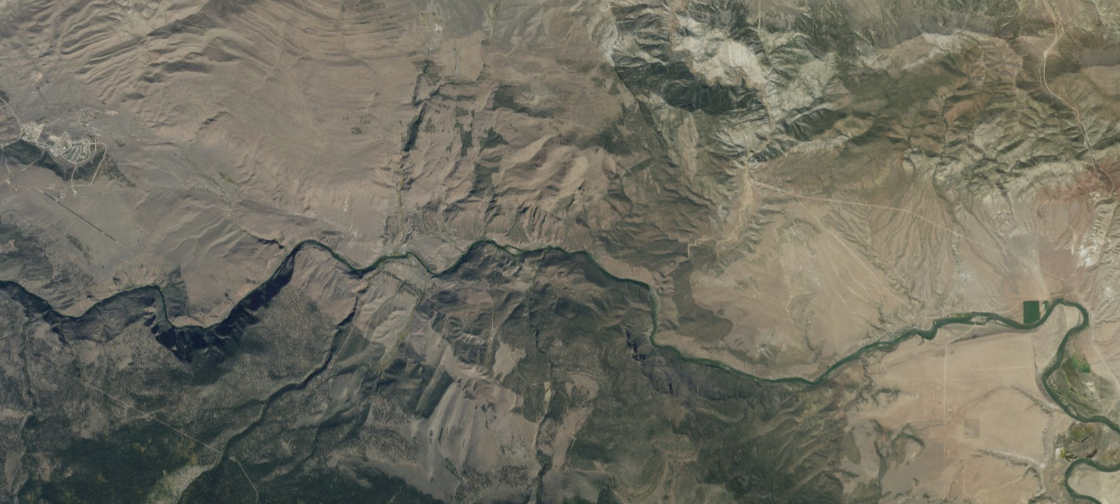 Map of Cicada Campsite