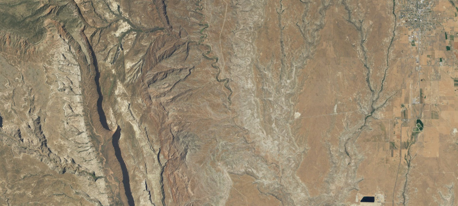 Map of primitive