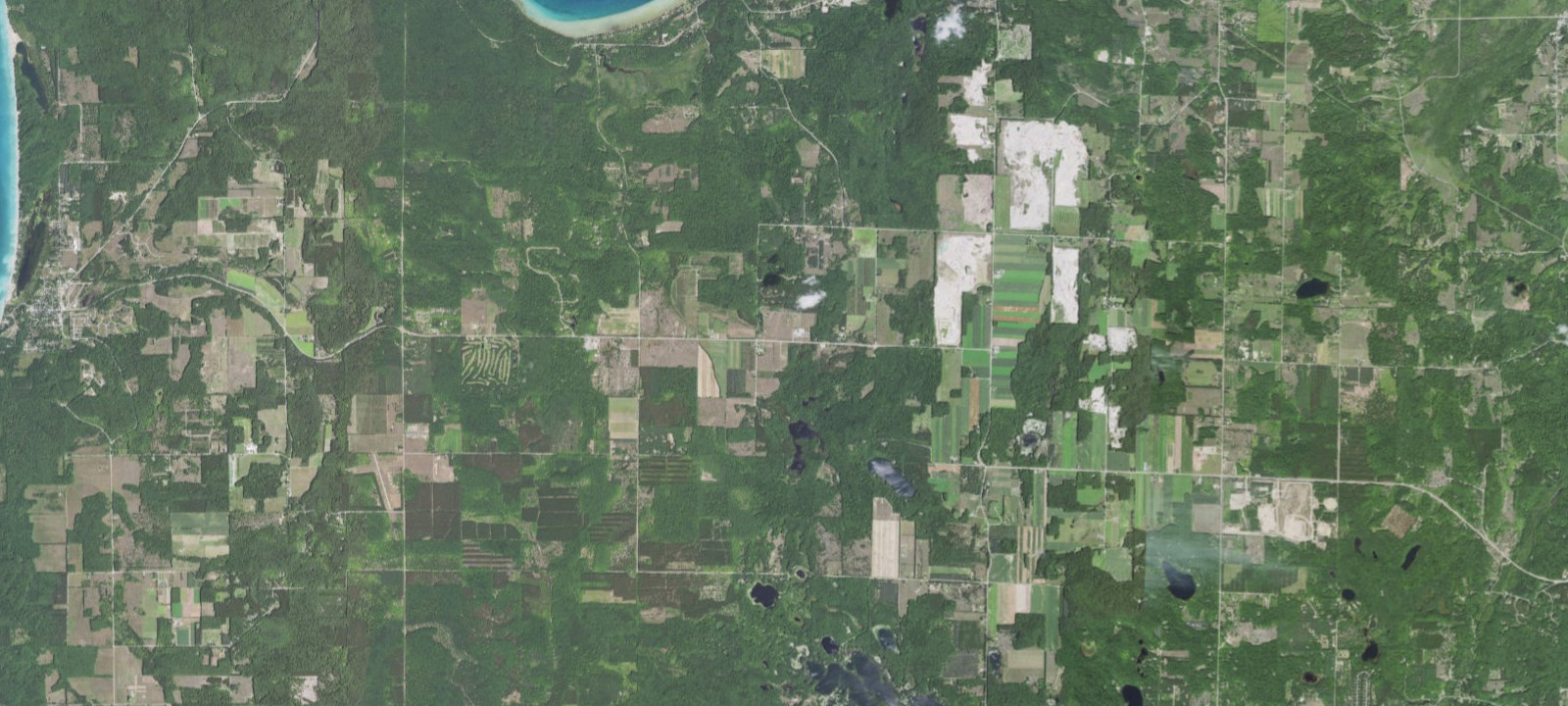 Map of Backyard Burdickville