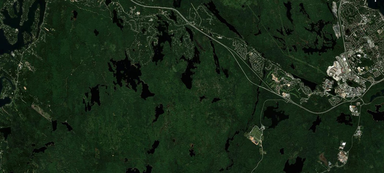 Map of coyote