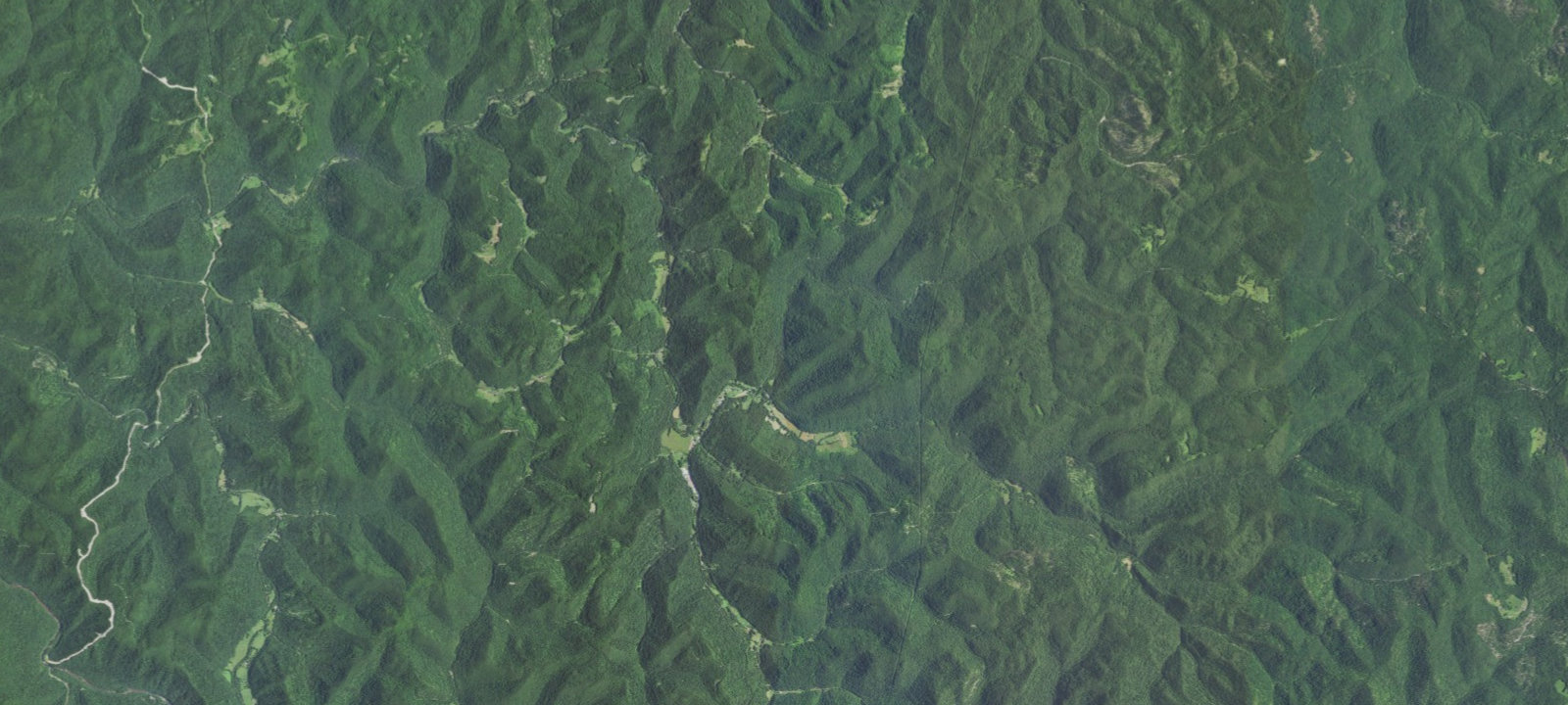 Map of Spruce Area, Area 4