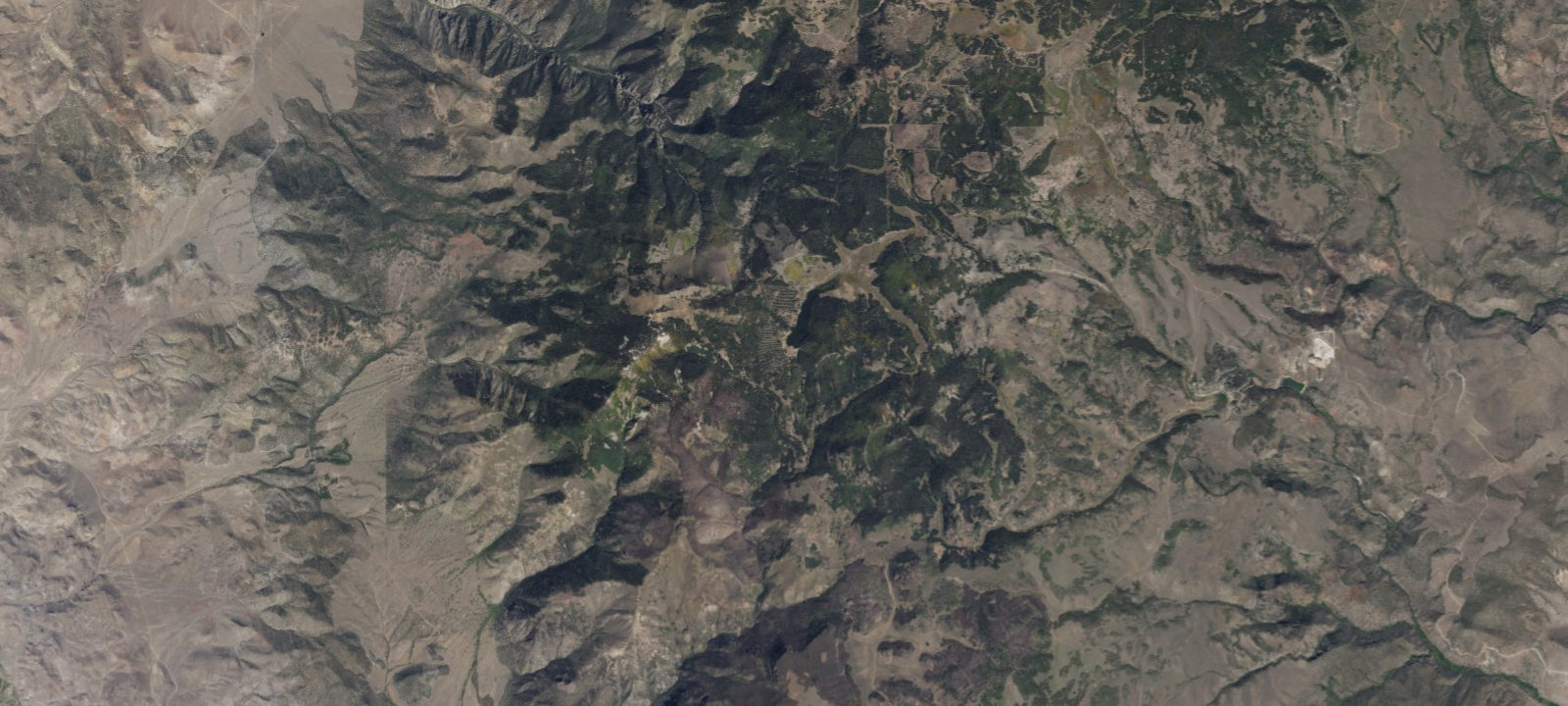 Map of Manning Meadow CUA Dispersed