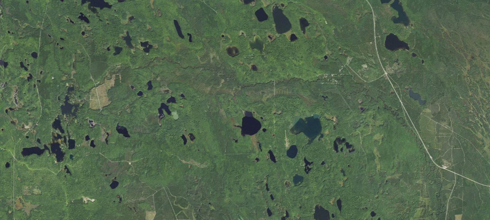 Map of Triangle Lake Campsites