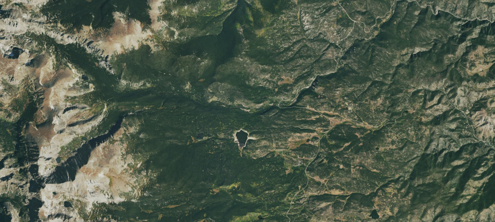 Map of Camp Dick