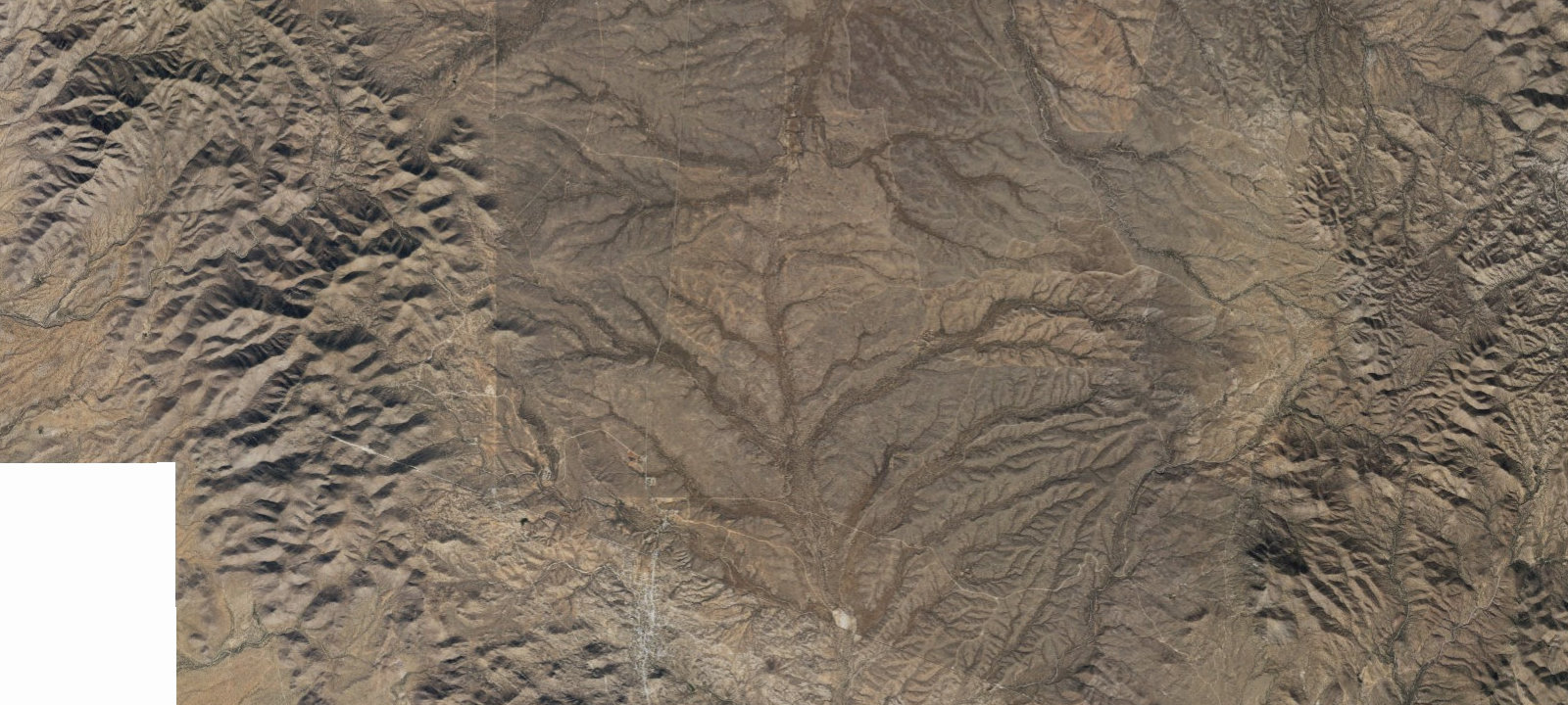 Map of Campsite #81