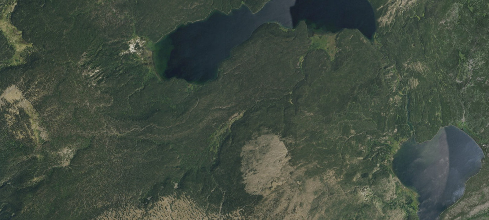 Map of Moose Creek Meadow (8M2)