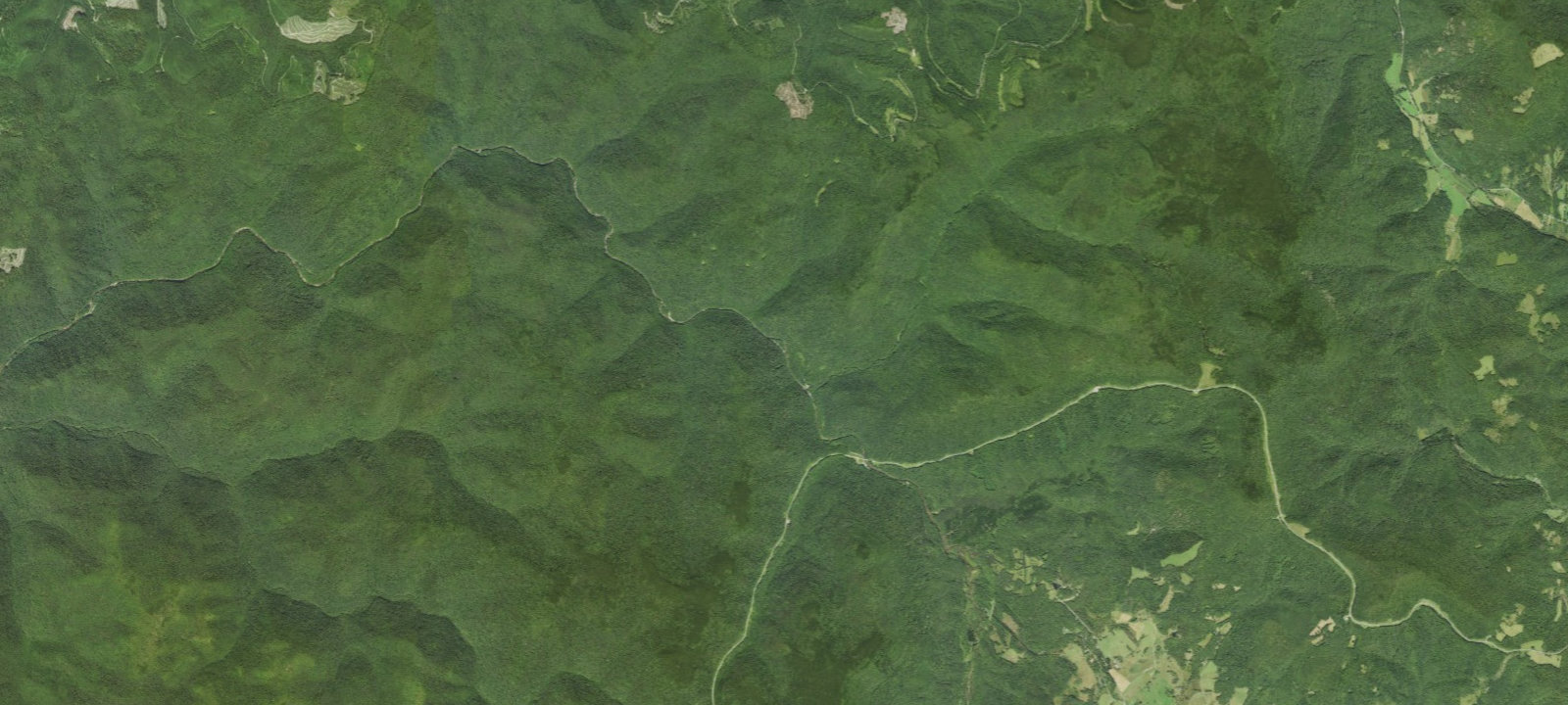 Map of Williams River Rua Sites D2
