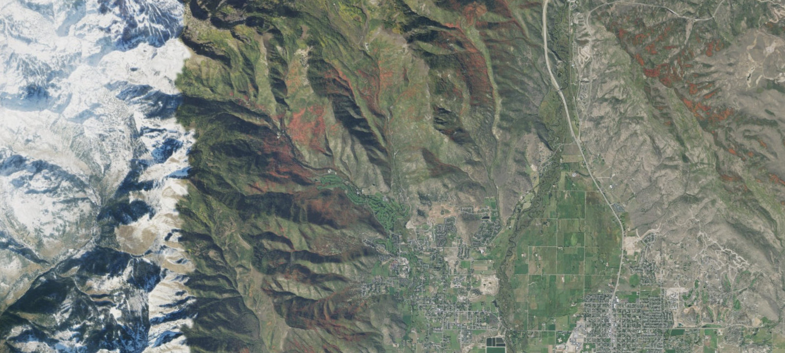 Map of Site 113
