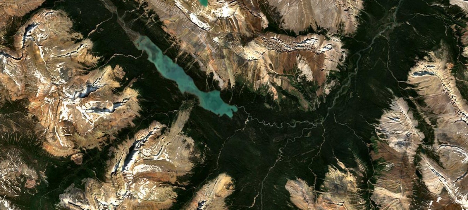 Map of Brazeau Lake