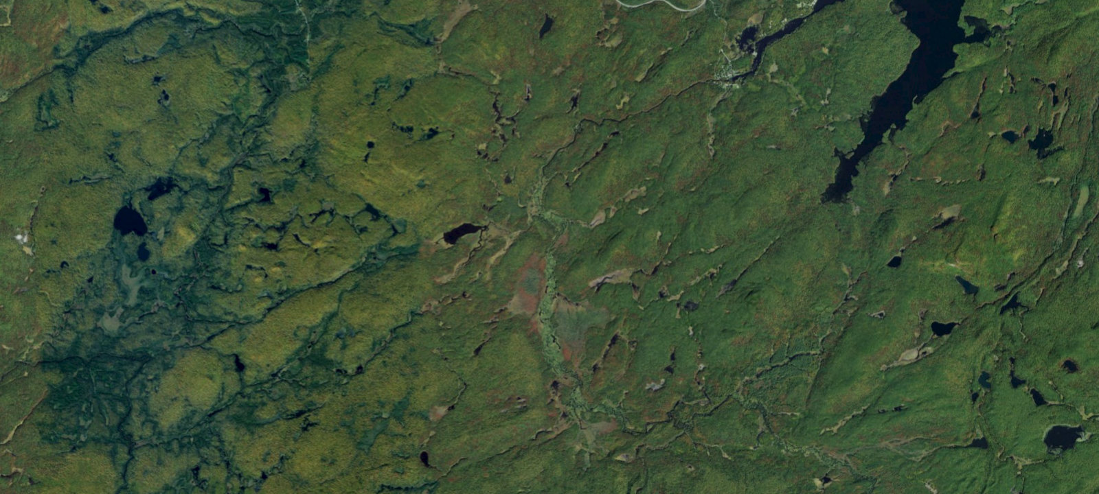 Map of Oswegatchie River Campsite 44