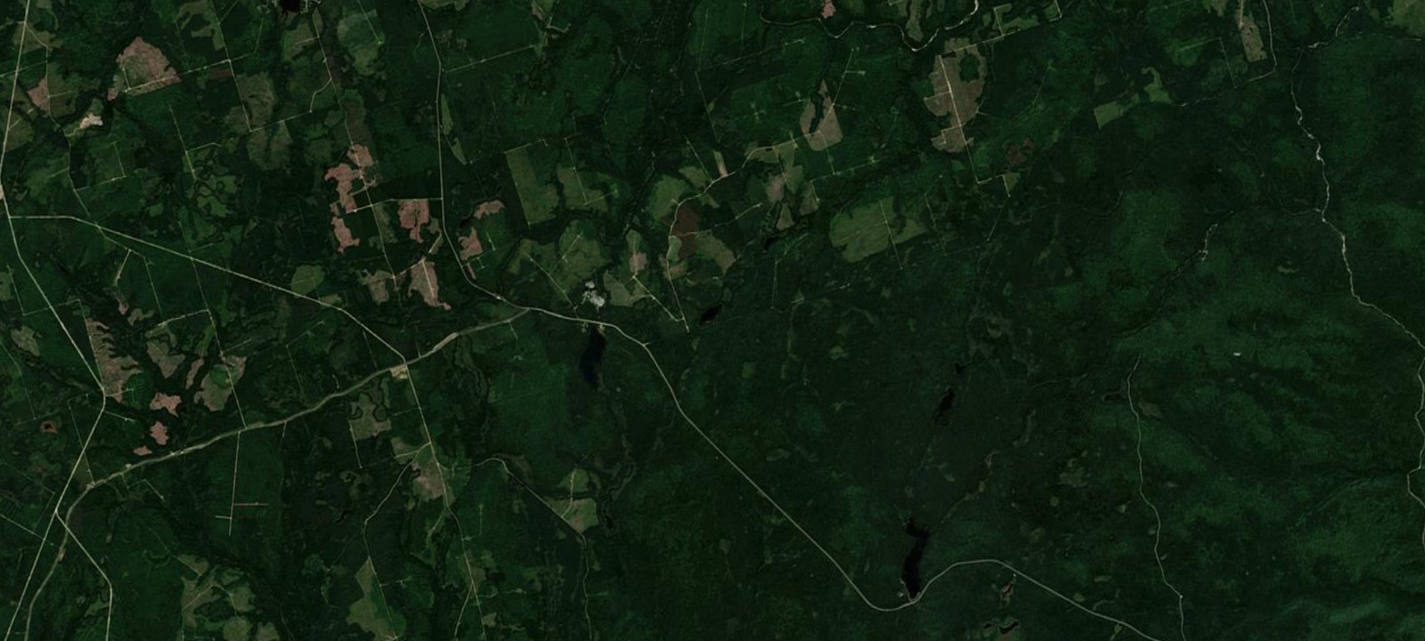 Map of Grassy Lake Campsite