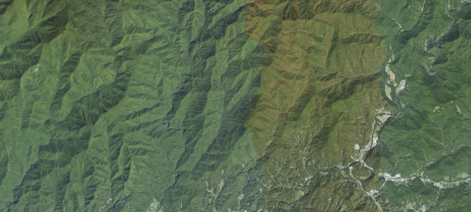 Map of George's Branch #51