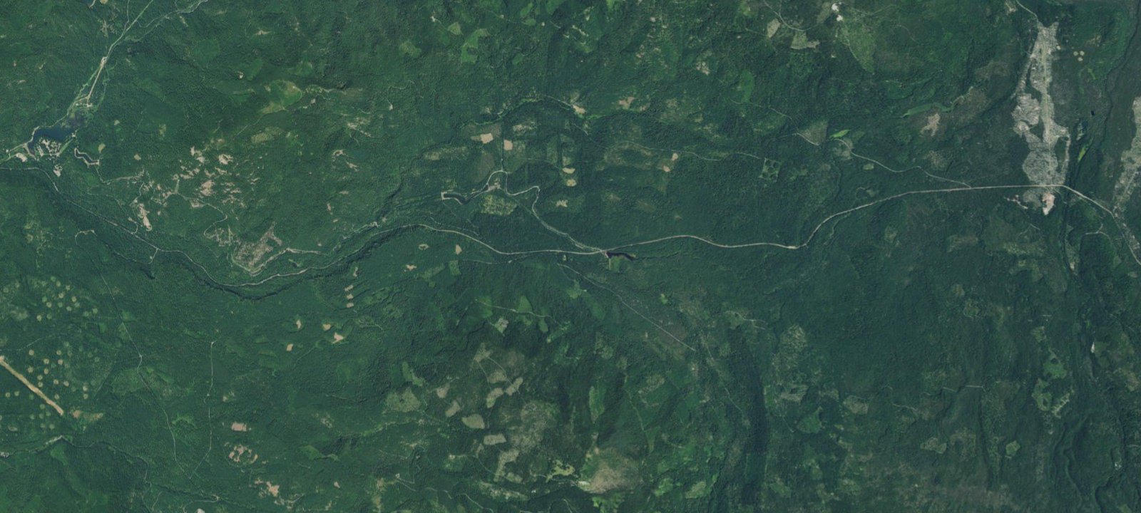 Map of Briggs Forest Camp