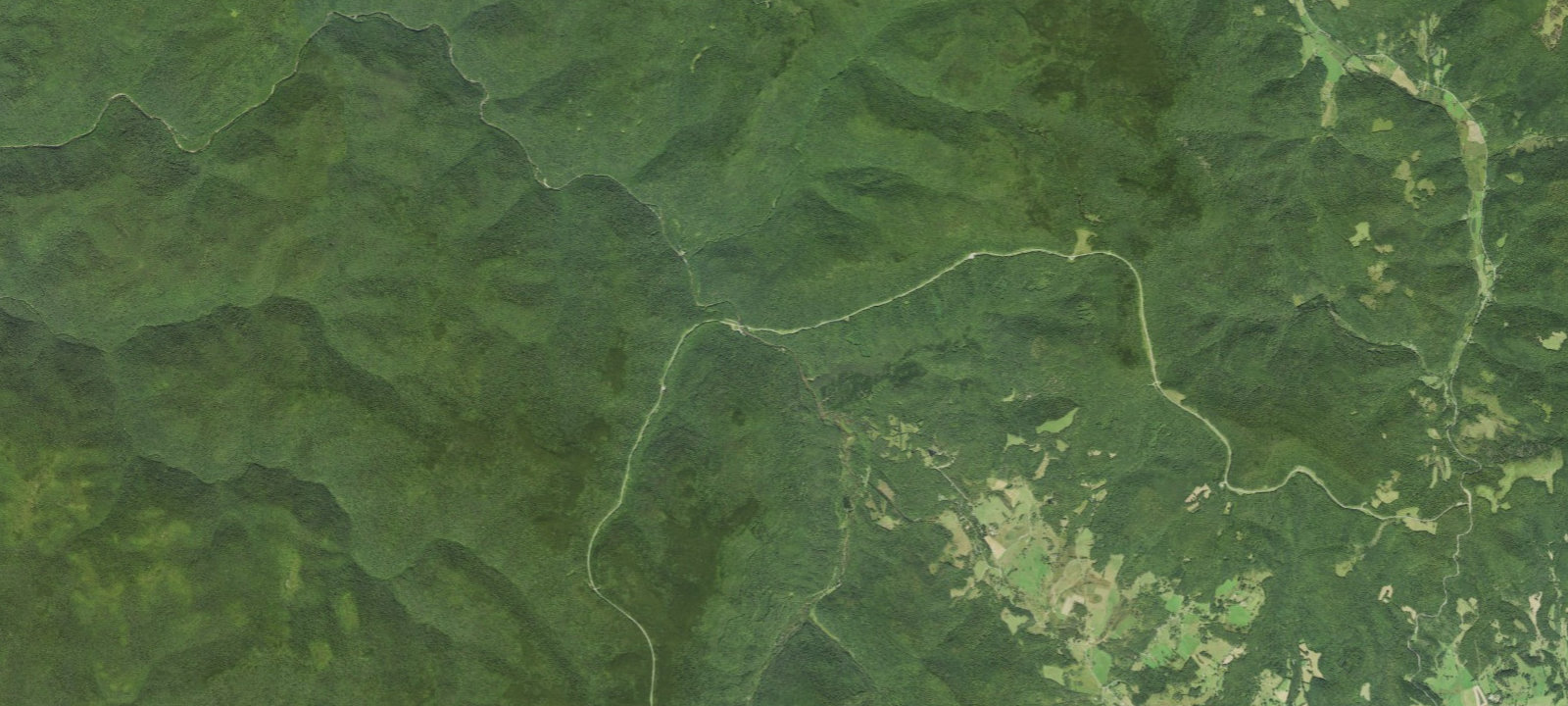 Map of Williams River Site D4