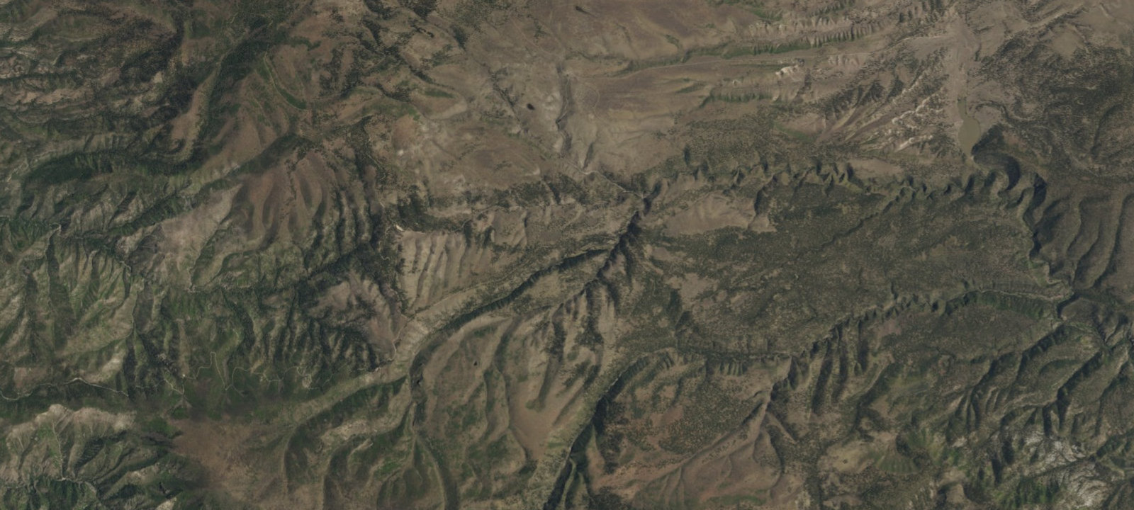 Map of Ben Lilly Campground
