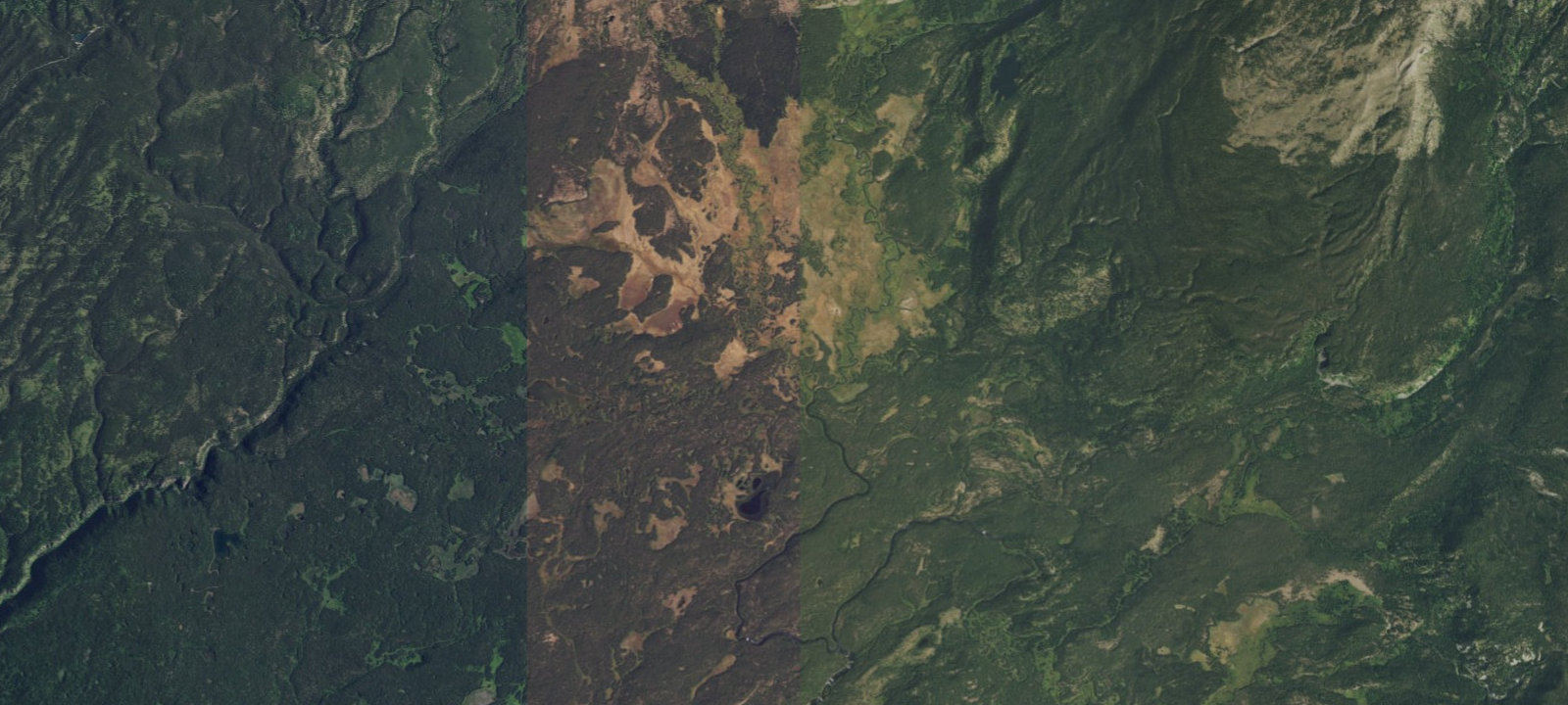 Map of Lower Boundary Creek 9B1