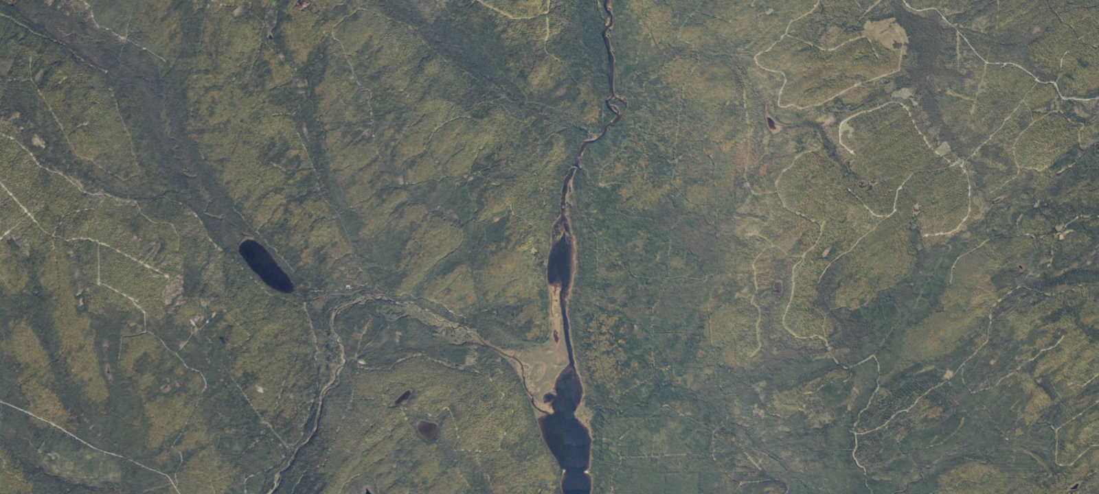 Map of Lost Popple (1)