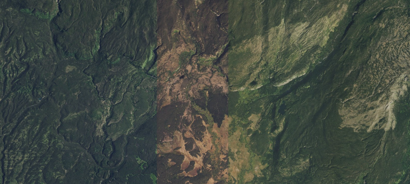 Map of Upper Boundary Creek