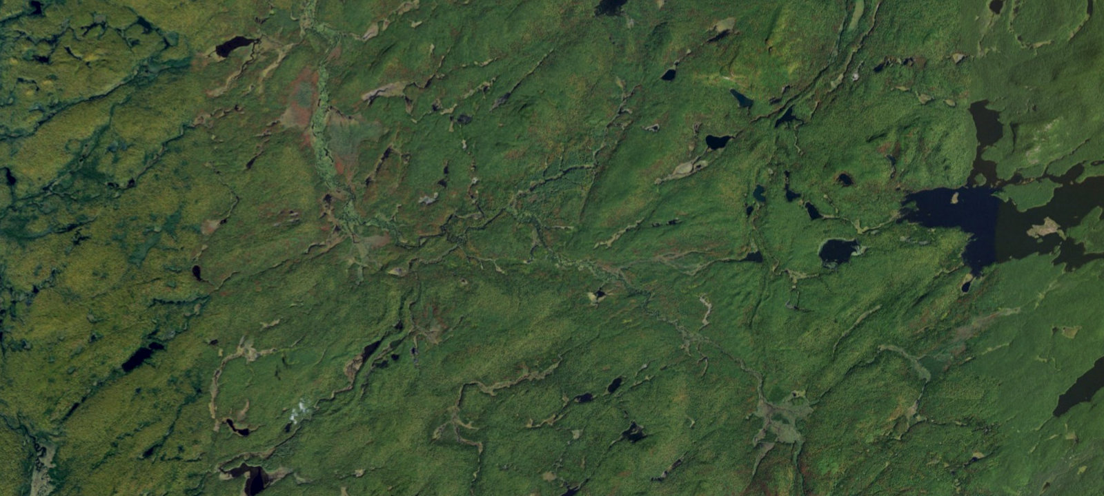 Map of Oswegatchie River Campsite 16