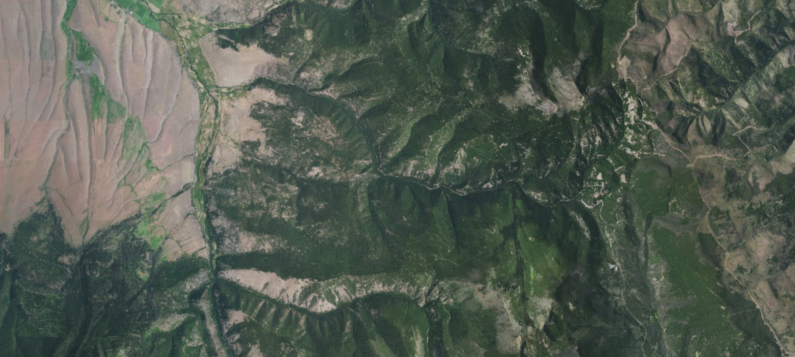 Map of Primitive Campsite