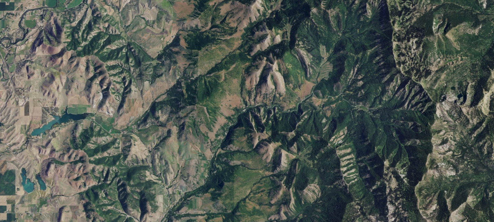 Map of Albert Moser