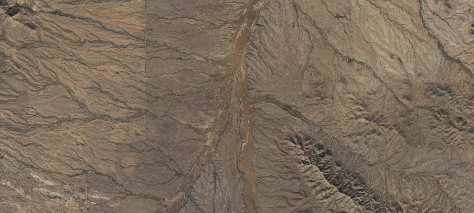 Map of Campsite #19