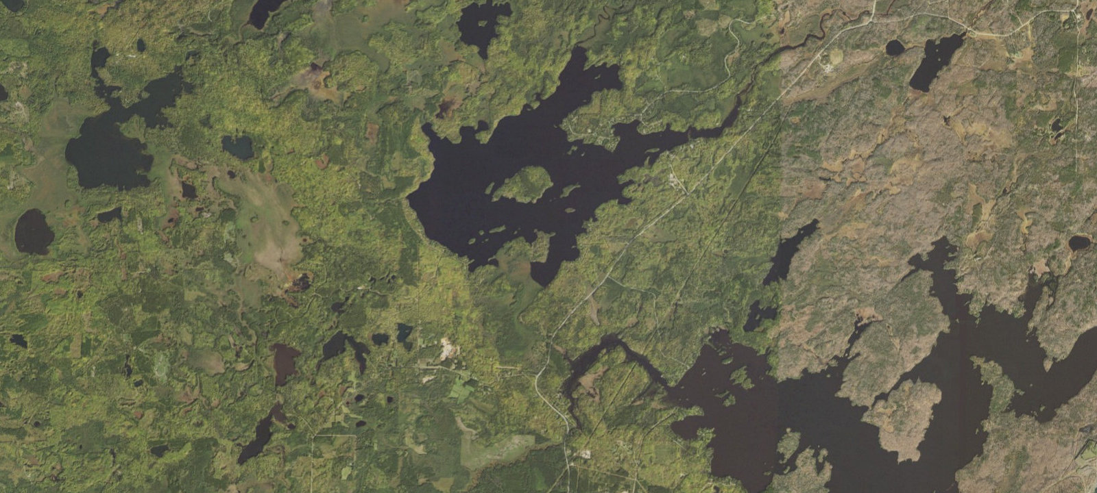 Map of Bear Island Lake Site 4