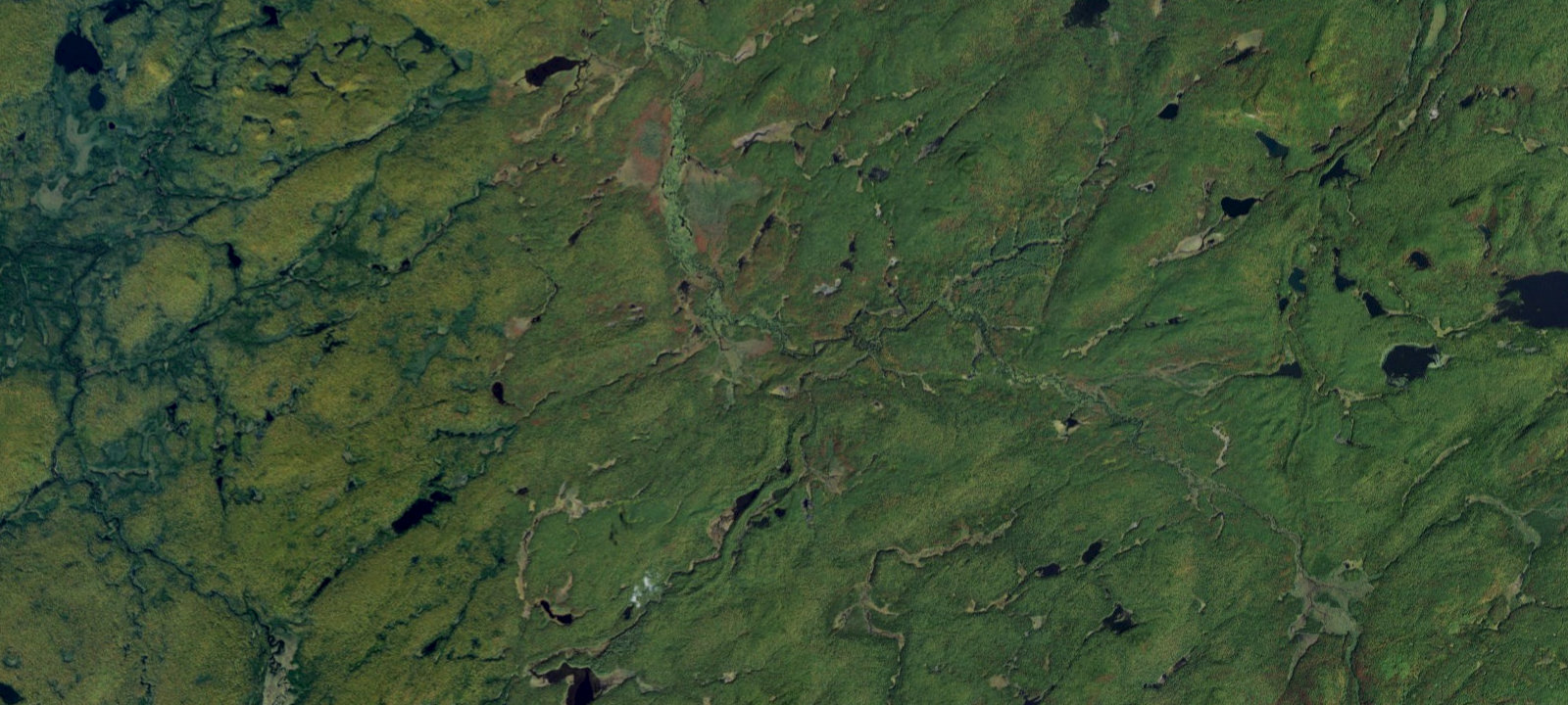 Map of Oswegatchie River Campsite 31