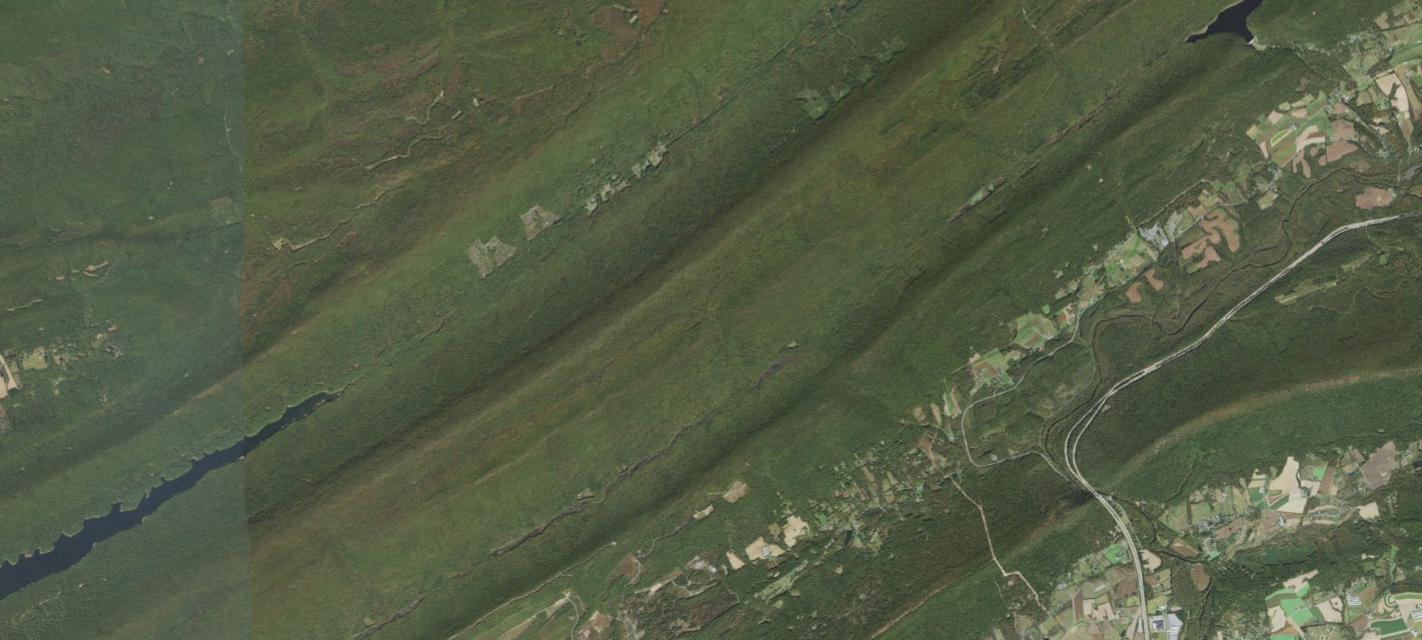 Map of Forest campsite with stream