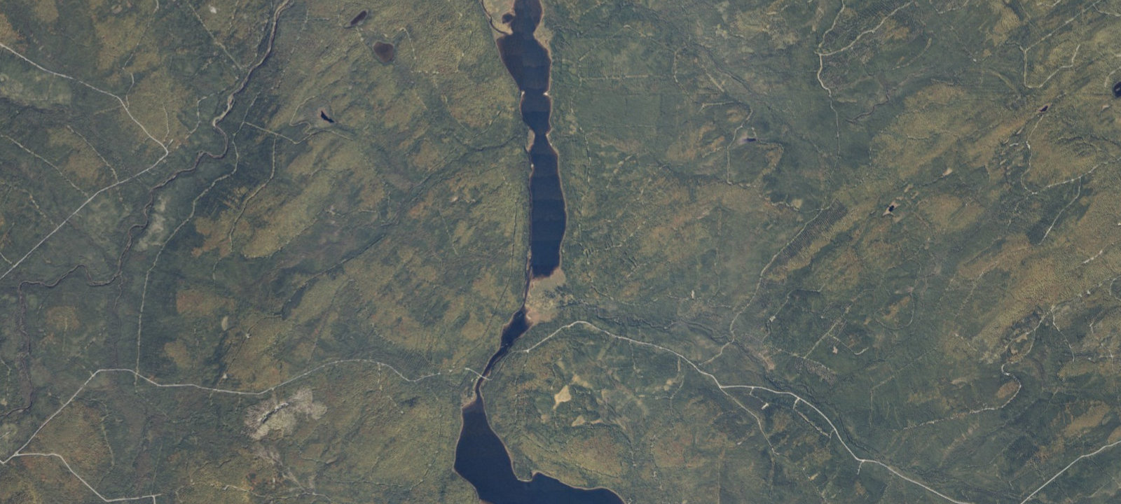 Map of Cedar Springs (1)