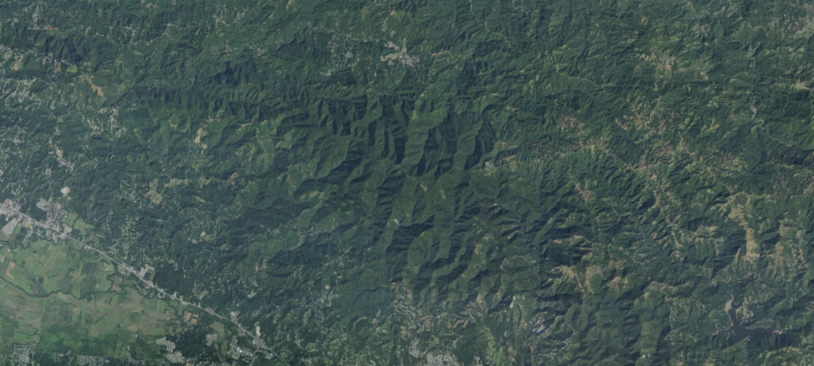 Map of Falcón Común