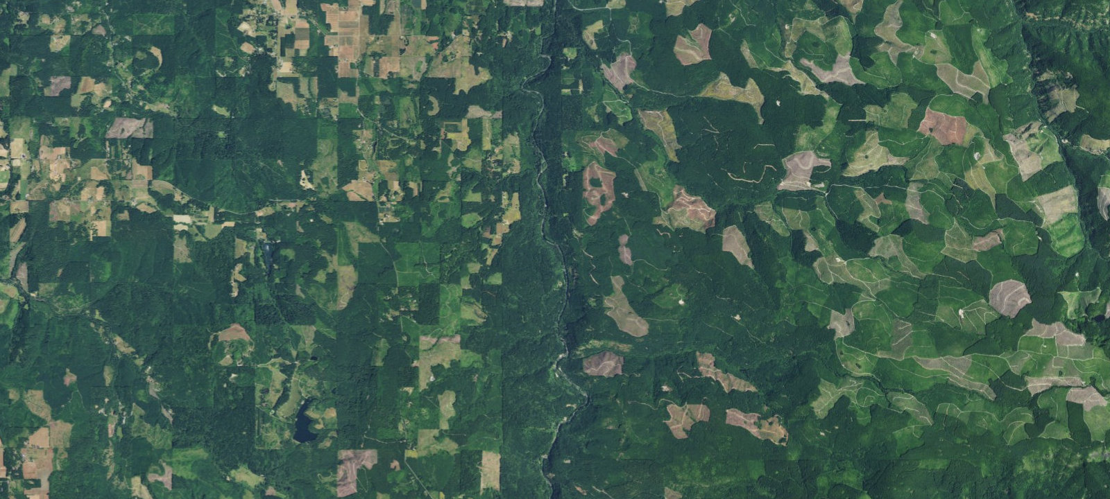 Map of Cedar Grove Campground