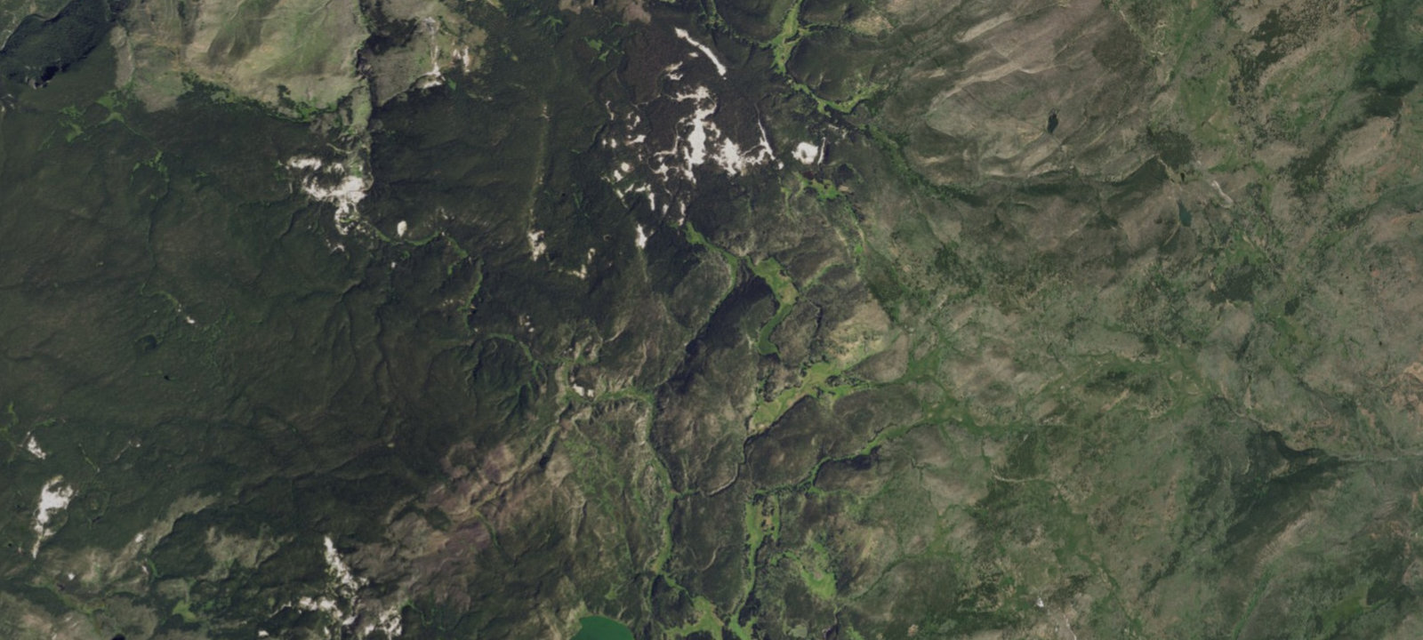 Map of Wapiti Lake