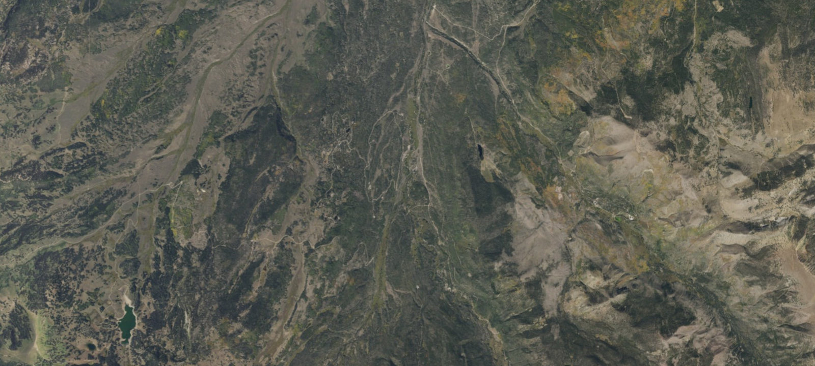 Map of Site 010