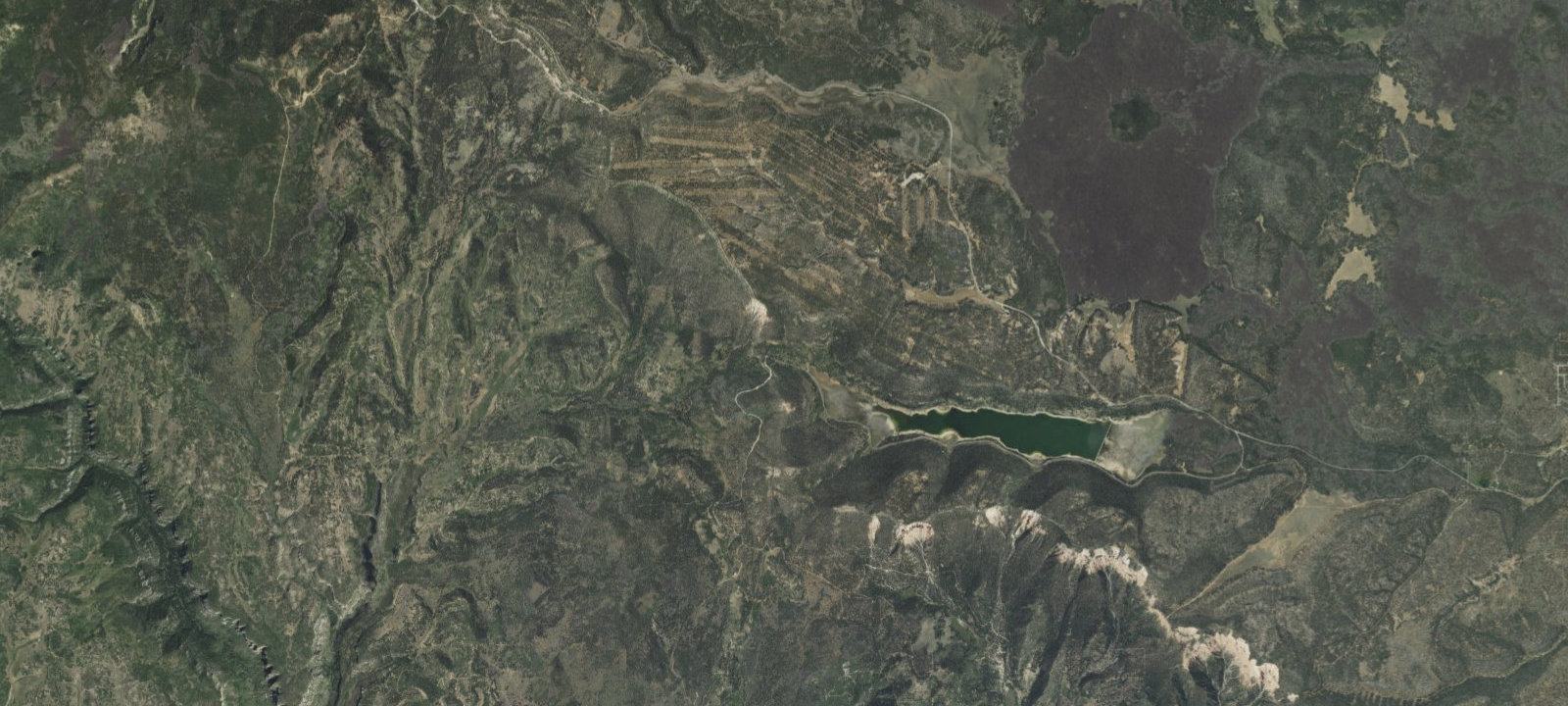 Map of Site 40