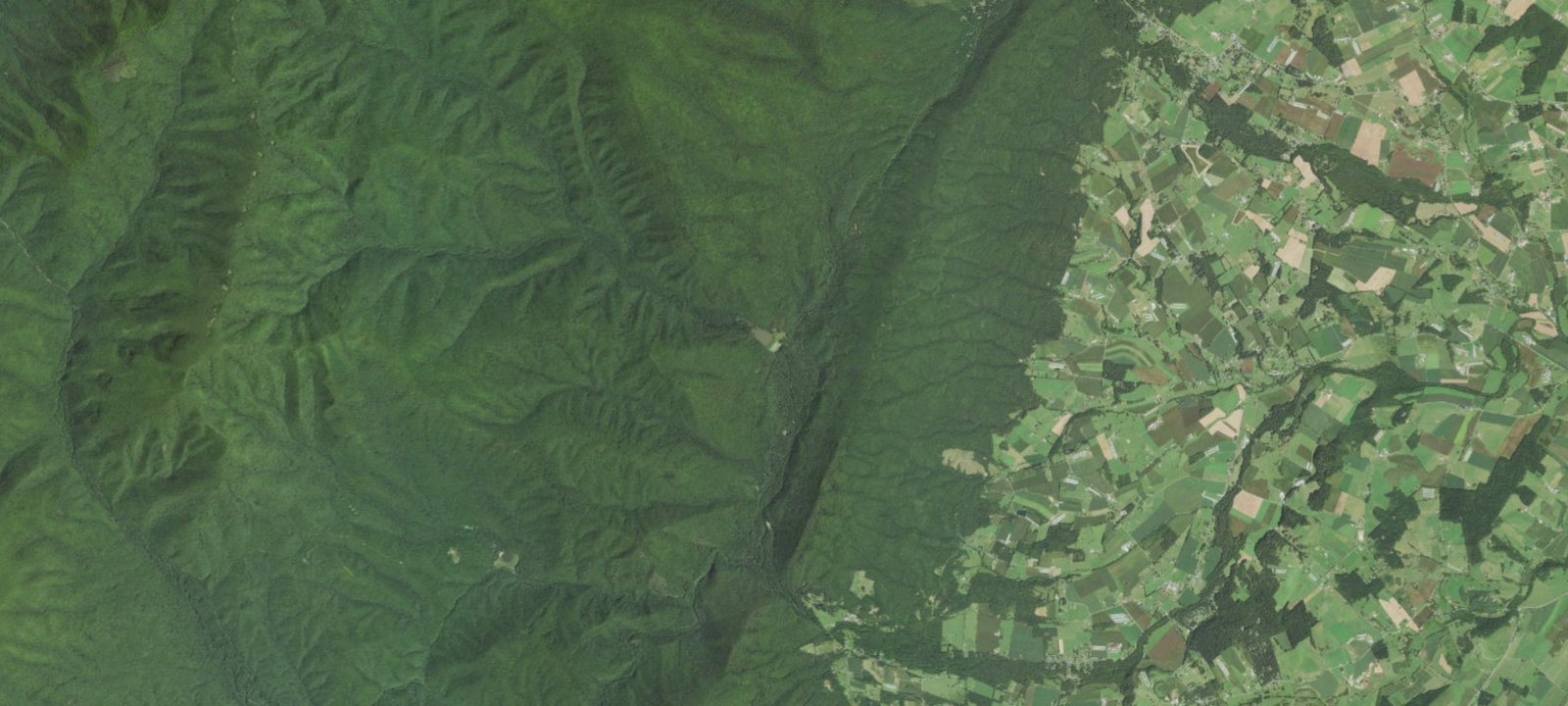 Map of Camp Flamingo