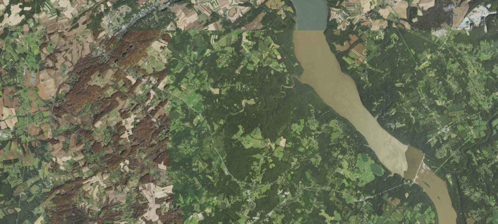 Map of Towering Oaks