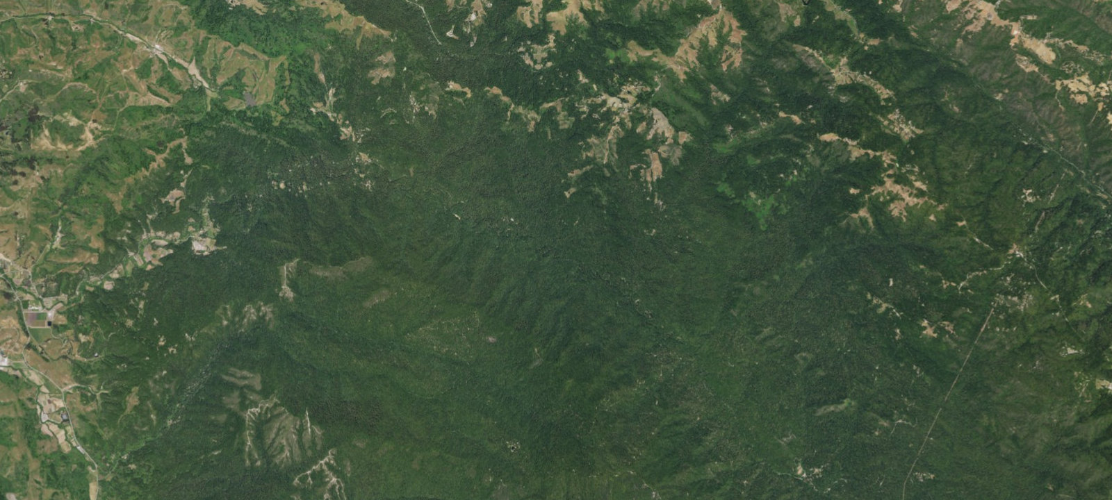 Map of Tarwater Trail Camp (primitive)