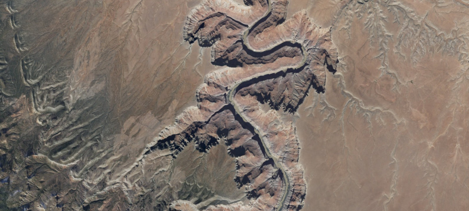 Map of Lower Saddle Camp
