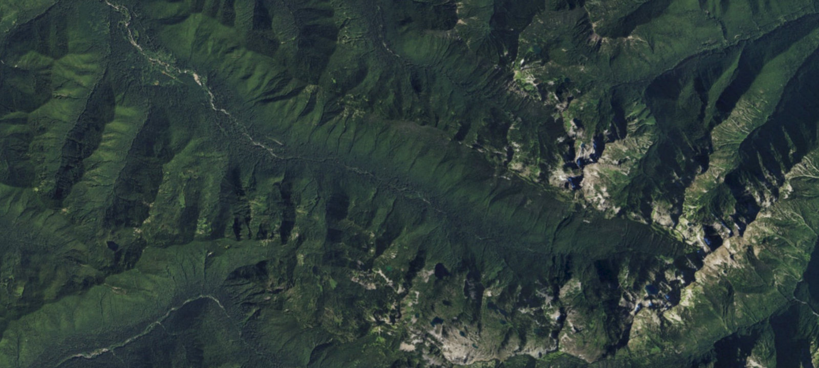 Map of Dawley's Sol Duc River Campsite #1