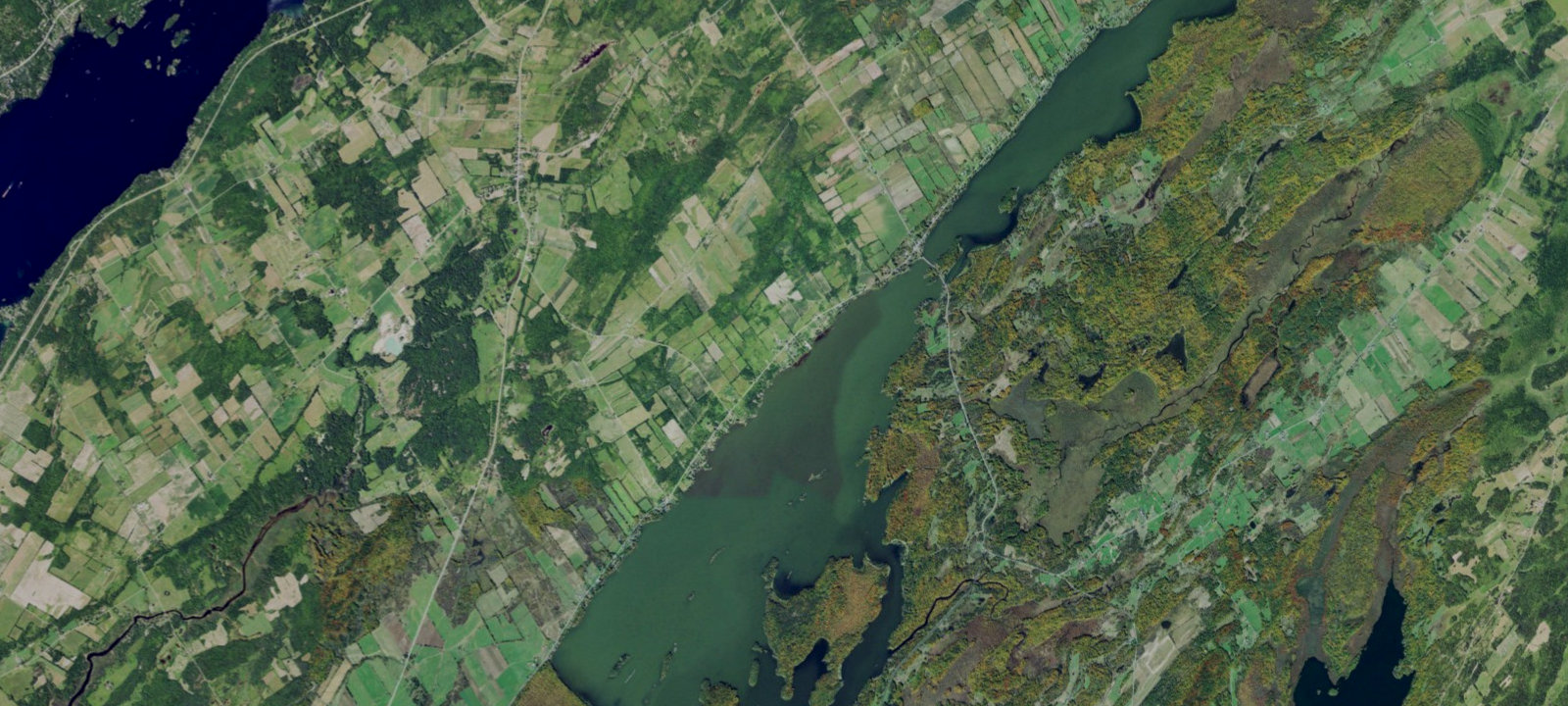 Map of Bird's Nest Campground