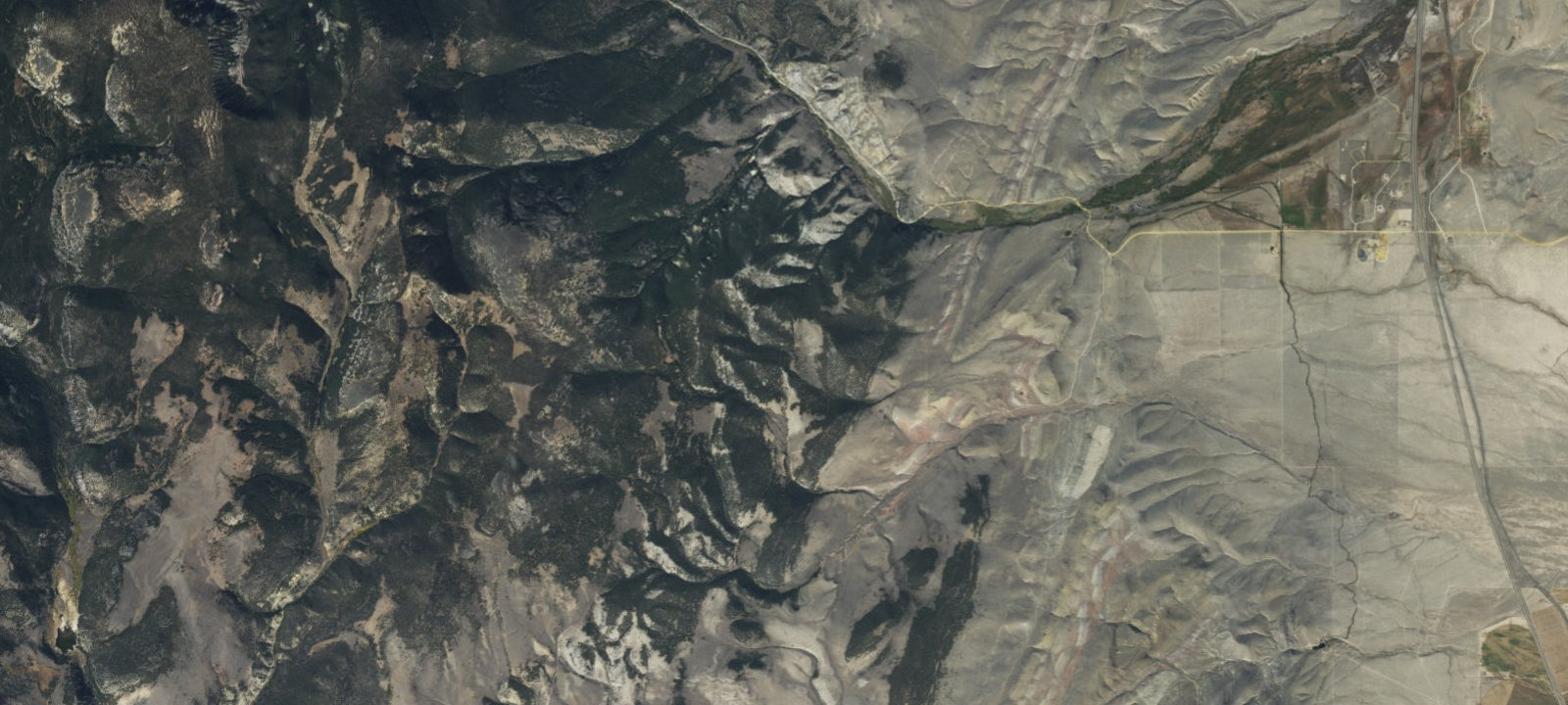 Map of Middle Of Trees