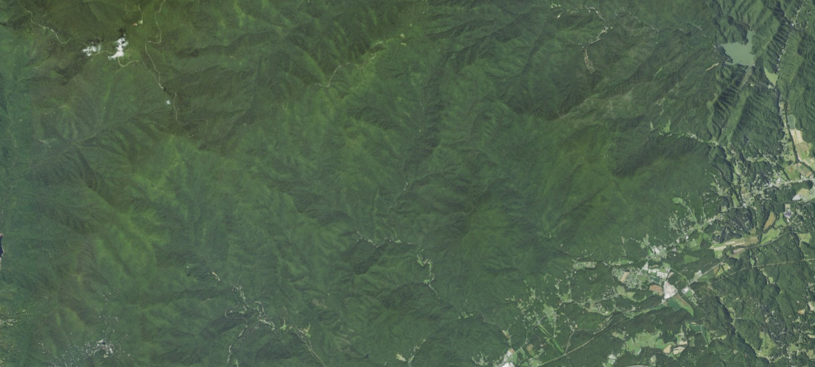 Map of Curtis Creek Campsites
